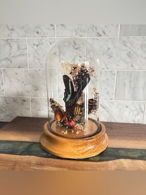 Vintage MCM Taxidermy Butterflies with Dried Florals Glass Dome Terrarium